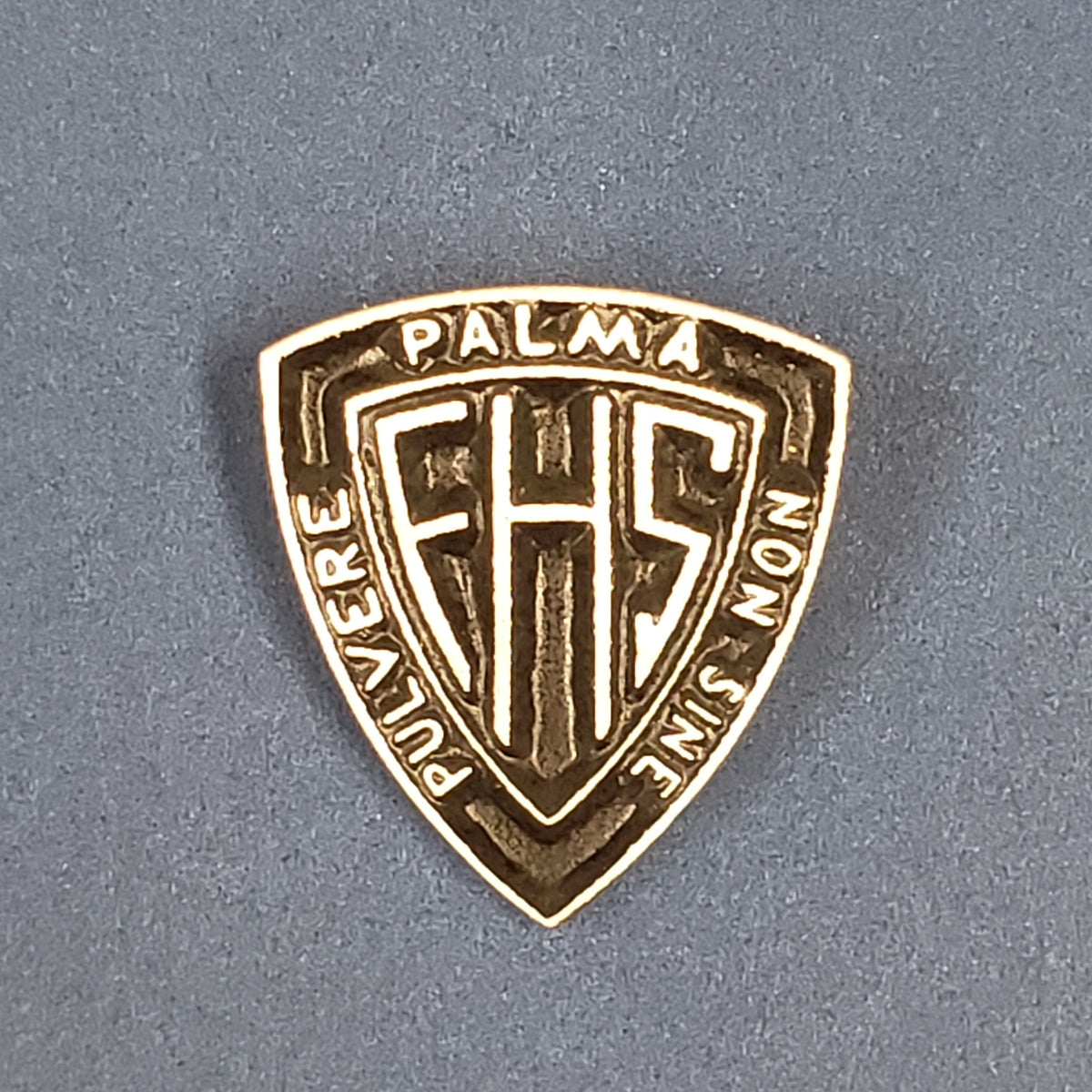 FHS Lapel Pin