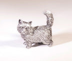 Chat himalayen