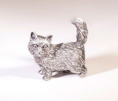 Chat himalayen