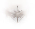 Star of Bethlehem