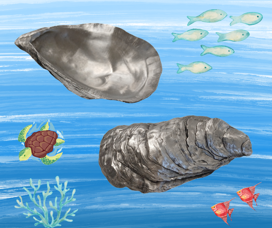 Oyster Shell Dish