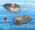 Oyster Shell Dish