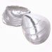 Shell Votive