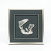 Framed Salmon & Fiddlehead Crest