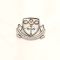 Saint Thomas University Lapel Pin