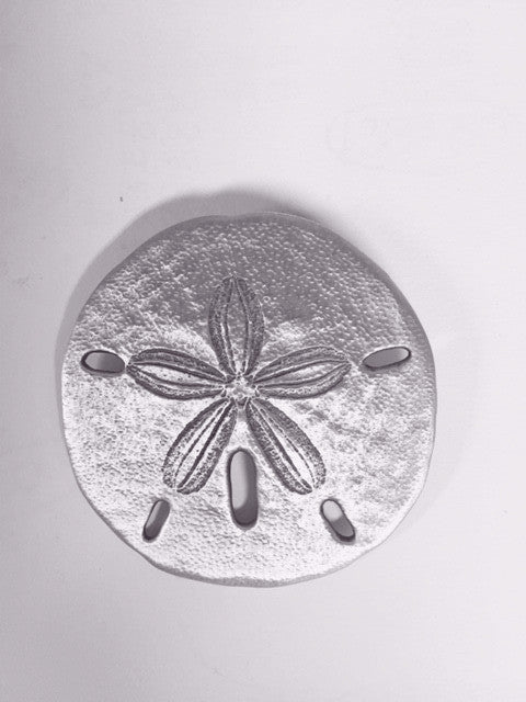 Sand Dollar Pewter  Brooch 