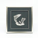 Framed Salmon & Fiddlehead Crest